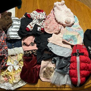 HUGE Bundle of dog clothes